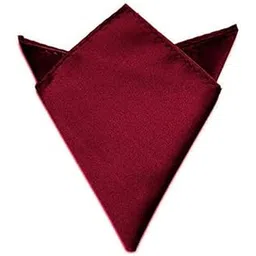 michelangelo Men's Satin Pocket Square (Maroon)-picture-30