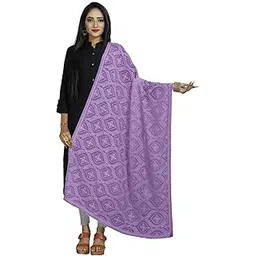 mindhol Women's Embroidered Chiffon Dupatta-picture-43