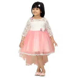 Ministitch Applique Net Fit & Flare Dress-picture-41