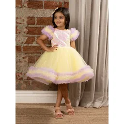 Ministitch Girls Embellished Net A-Line Dress-picture-39