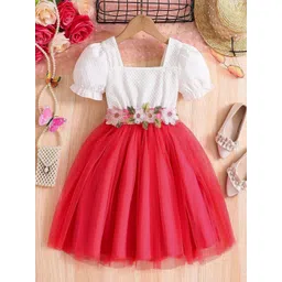 Miss & Chief Embellished Puff Sleeve Net A-Line Dress-picture-14