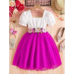 Miss & Chief Floral Embroidered Puff Sleeve Net A-Line Dress-picture-22