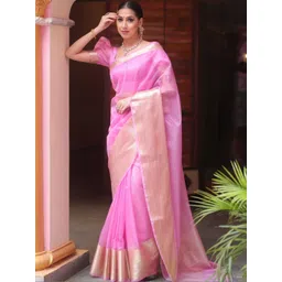 Moda Rapido Zari Net Saree-picture-26
