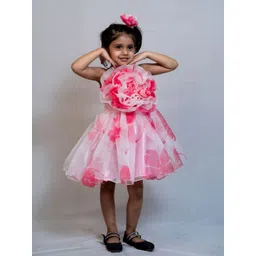 Modish Girls Floral Printed Applique Sleeveless Fit & Flare Dress-picture-50