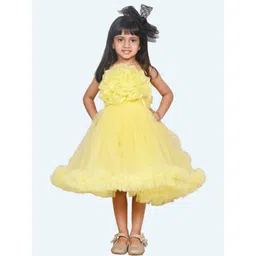 Modish Girls Gathered or Pleated Net Fit & Flare Dress-picture-38