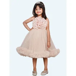 Modish Slit Sleeve Net Fit & Flare Dress-picture-37