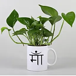 Money Plant In Maa Printed Mug-picture-23