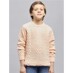 Monte Carlo Boys Beige Self Full Sleeves Pullover-picture-33