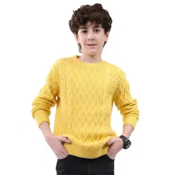 Monte Carlo Kids Yellow Textured Pullover-picture-13