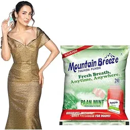 Mountain Breeze Sugar-Free Paanmint Fresh Breath Strips (7 Strips each) Pack of 20 = 140 Strips-picture-28