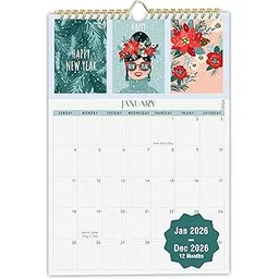 mudrit Wall Calendar, 12" X 17", 12 Monthly Calendar, Spiral Bound for Office, Home, Family,Business, School Appointment Planning (2026)-picture-26