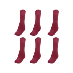 MUKHAKSH Girls Pack of 6 Calf Length Socks-picture-34