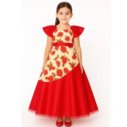 My Lil Princess Girls Cream & Red Floral Print Party Gown-picture-57