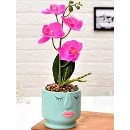Myntra Elegant Homes Green 1 Piece Orchid Artificial Plant With Pot-picture-18