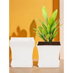 Myntra Elegant Homes Pack of 4 Plastic Flower Pots With Bottom Plates-picture-23