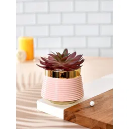 Myntra Elegant Homes Pink & Red Succulent Artificial Plant With Pot-picture-35