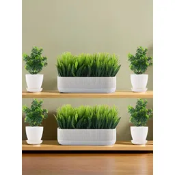 Myntra Elegant Homes White 6 Pieces Artificial Plant With Pot-picture-36