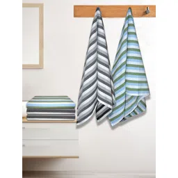 Myntra Elegant Homes White & Blue 5 Pieces Striped Lightweight Cotton 150 GSM Bath Towels-picture-32