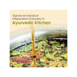 Nat Habit Dasabuti Hair Oil With Vitamin E - 100 ml image 5