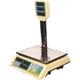 National Price Computing Capacity 30 kg Accuracy 5 gm-picture-45