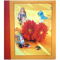 natraj 200 Pocket - Size 5 X 7 inch Album-picture-16