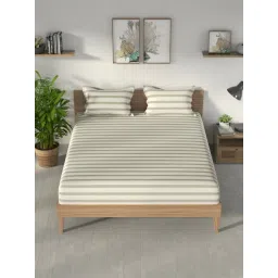 Nautica Beige & Green Cotton Striped 160 TC King Bedsheet with 2 Pillow Covers-picture-11
