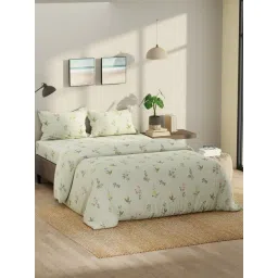 Nautica Off White Cotton Floral 135 TC King Bedsheet - Set of 4-picture-21