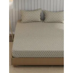 Nautica Olive Cotton Geometric 250 TC King Bedsheet with 2 Pillow Covers image 2