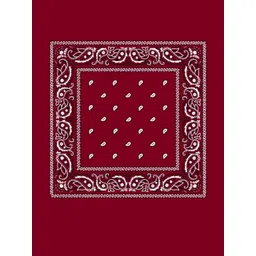 Navkar Crafts Unisex Paisley Bandana Headband-picture-40