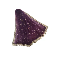 Navti Creations Embroidered Sequinned Dupatta-picture-20