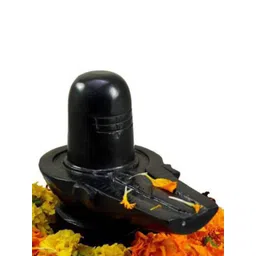Navyaksh Black Shivaling Religious Idol Showpiece-picture-29