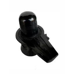 Navyaksh Black Showpiece-picture-39