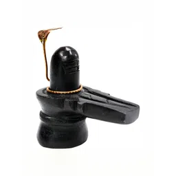 Navyaksh Black Stone Shiv Ling Showpiece-picture-42