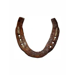 Navyaksh Brown Showpiece-picture-24