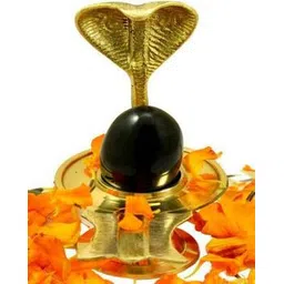 navyaksh Lord Shivaling Idol-picture-40