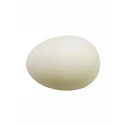 Navyaksh White Showpiece-picture-39