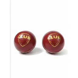 ne neptune Premium Red Leather Cricket Practice Ball Cricket Leather Ball-picture-35