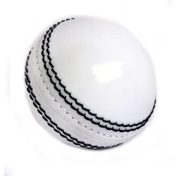 ne neptune Tanned Leather Pro Cricket Leather ball for Practice Cricket Leather Ball-picture-17