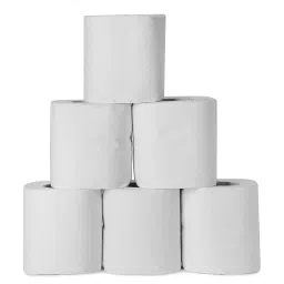 Neatex Toilet Paper Roll Bathroom Tissue 3 Ply 160 Pulls Each 98x100 mm White (Pack of 6)-picture-24