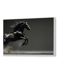 nestroots White Canvas Framed Majestic Flight of the Black Stallion Wall Painting image 4