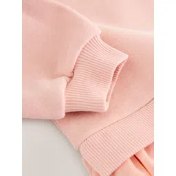 NEXT A-Line Dress with Lace Detail image 4