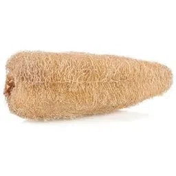 NIDHIVAN Organic Ridge Gourd Fiber Natural Loofah (Pack of 2)-picture-25