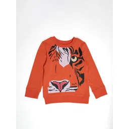 Nino Bambino Kids Boys Printed Cotton Sweatshirt-picture-14