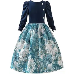 Niren Enterprise Garden Frock Floral Printed Long Sleeve Blue Color Girls Frock-picture-24