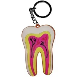 NMD NEXUS MEDODENT Dental Root shape large size Rubber keychain (Pack of 1)-picture-39