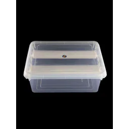 NMII Transparent Regular Jewellery Organiser-picture-12