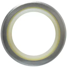 NOK DKI Series 85x 99 mm Iron Rubber Reciprocating Dust Seal, DKI 85 99 8 11-picture-10