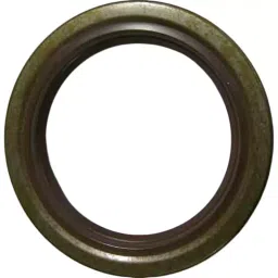 NOK φ38x58 mm SB2 Type Fluoro Rubber Oil Seal (Fuso), SB2 38 58 11 F-picture-26