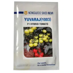 Nongwoo Yuvaraj 1003 8g F1 Hybrid Vegetable Tomato Seeds, Number of Seeds: 3000-picture-28