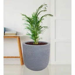nora Big Iris Grey Polyethylene Floor Planter-picture-10